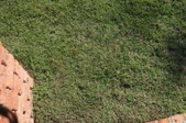 Enlarge photo 41