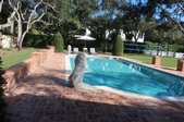 Enlarge photo 48