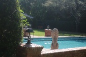 Enlarge photo 59