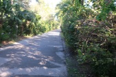 Enlarge photo 64
