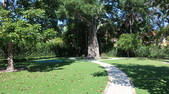 Enlarge photo 28