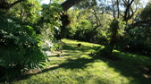 Enlarge photo 40