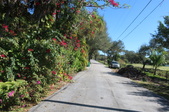 Enlarge photo 29