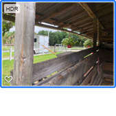 Enlarge photo 15