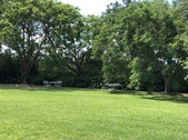 Enlarge photo 55