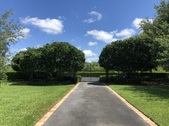 Enlarge photo 81