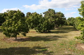 Enlarge photo 213