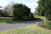 Enlarge photo 231