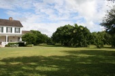 Enlarge photo 87
