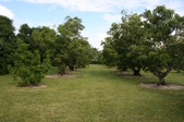 Enlarge photo 90