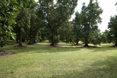 Enlarge photo 105