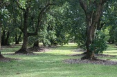 Enlarge photo 104
