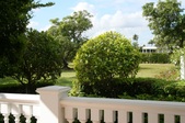 Enlarge photo 117