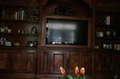 Enlarge photo 119