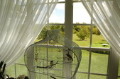 Enlarge photo 25