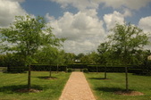 Enlarge photo 44