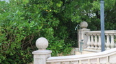 Enlarge photo 44