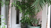 Enlarge photo 28
