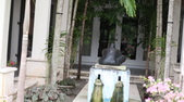 Enlarge photo 77