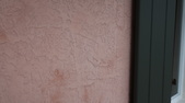 Enlarge photo 81