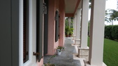 Enlarge photo 82