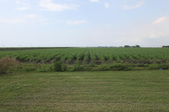 Enlarge photo 38