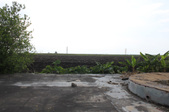 Enlarge photo 45