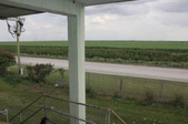 Enlarge photo 59
