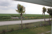 Enlarge photo 60