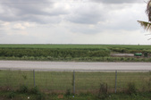 Enlarge photo 61