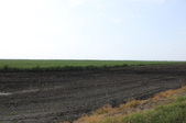 Enlarge photo 68