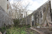 Enlarge photo 70