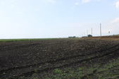 Enlarge photo 74