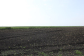 Enlarge photo 75
