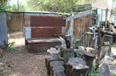 Enlarge photo 76