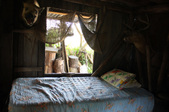 Enlarge photo 81
