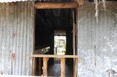 Enlarge photo 85