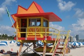 Enlarge photo 51