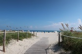 Enlarge photo 64