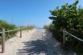 Enlarge photo 65