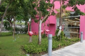 Enlarge photo 26