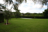 Enlarge photo 61