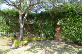 Enlarge photo 46