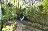 Enlarge photo 51