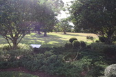 Enlarge photo 37