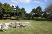 Enlarge photo 40