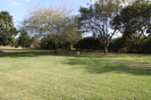 Enlarge photo 41