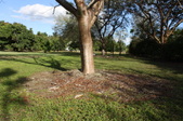Enlarge photo 45