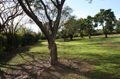 Enlarge photo 47