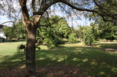 Enlarge photo 50